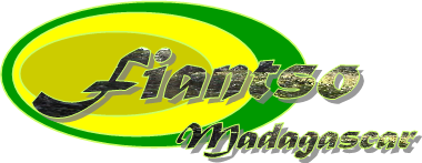 Logo ONG Fiantso Madagascar.
