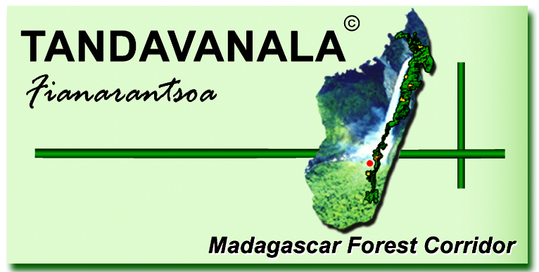 logoTandavanala